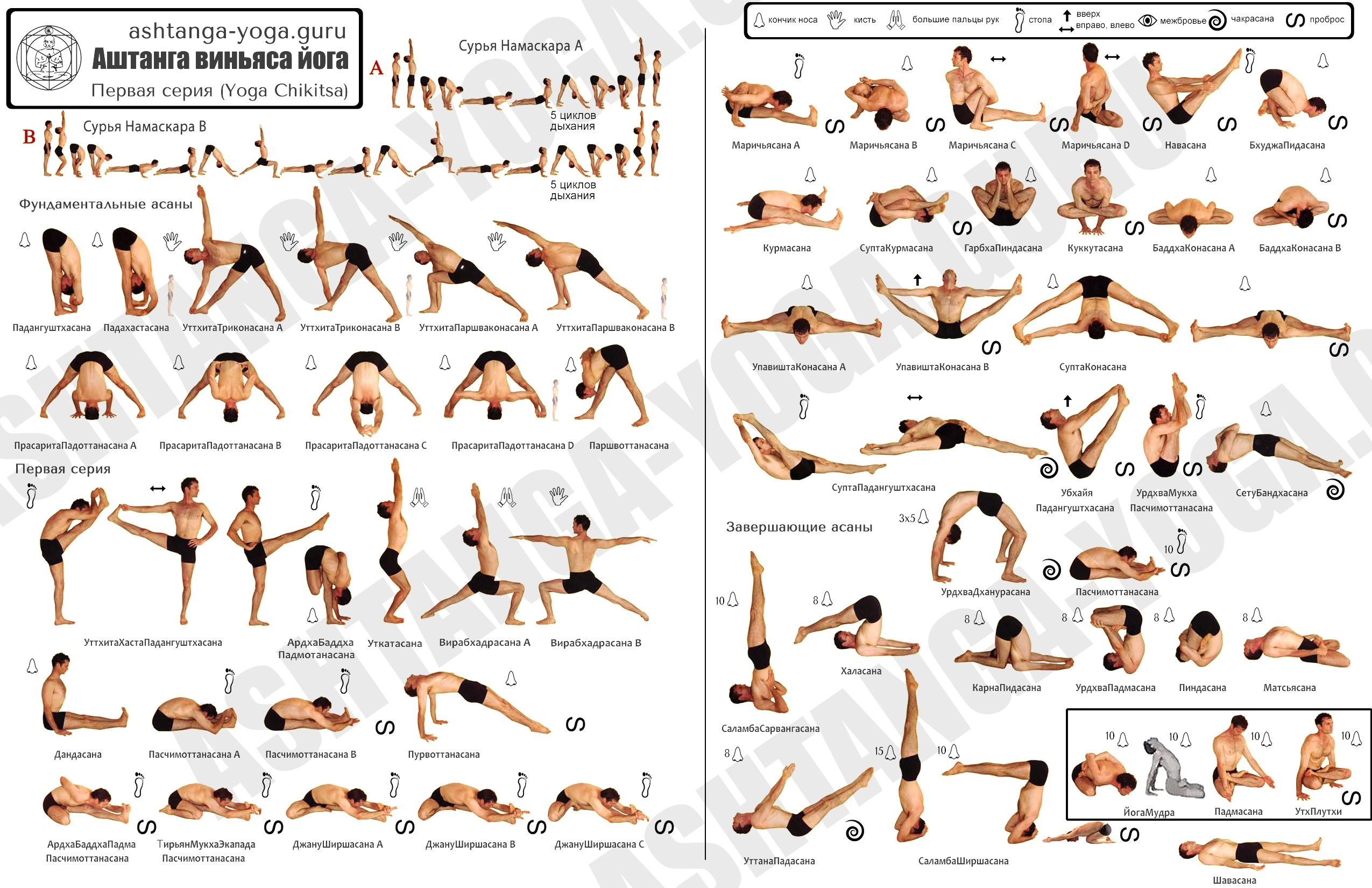 Аштанга-йога. Первая серия - Йога Чикитса (Yoga Cikitsā)